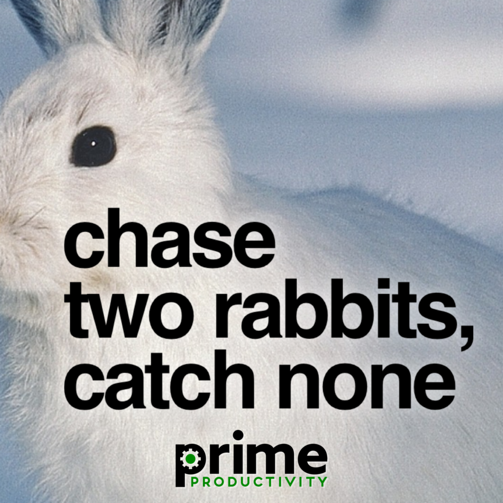 prime-productivity-chase-two-rabbits-catch-none
